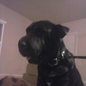 Meet your Posher, Coleman